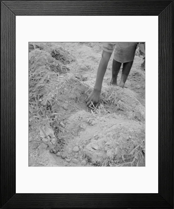 Framed Print : Possibly: Thirteen year old daughter of Negro sharecropper... Olive Hill, North Carolina, 1939. Creator: Dorothea Lange Framed Print : Possibly: Thirteen year old daughter of Negro sharecropper... Olive Hill, North Carolina, 1939. Creator: Dorothea Lange
