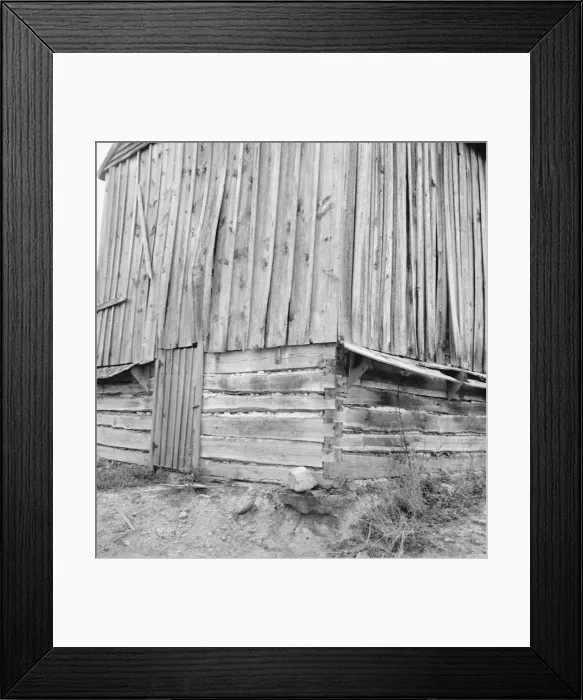 Framed Print : Showing construction of tobacco barn, Person County, North Carolina, 1939. Creator: Dorothea Lange Framed Print : Showing construction of tobacco barn, Person County, North Carolina, 1939. Creator: Dorothea Lange