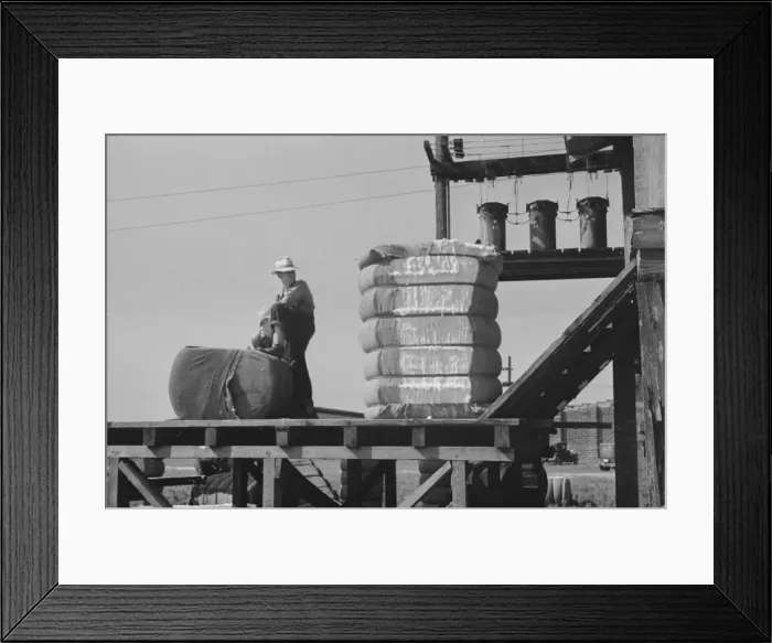 Framed Print : Cotton gin, Hale County, Alabama, 1936. Creator: Walker Evans Framed Print : Cotton gin, Hale County, Alabama, 1936. Creator: Walker Evans