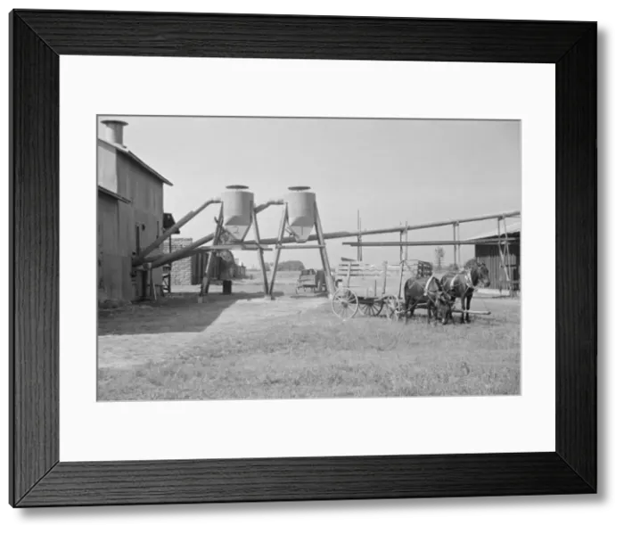 Framed Print : Cotton gin and wagons, Vicinity of Moundville, Alabama, 1936. Creator: Walker Evans