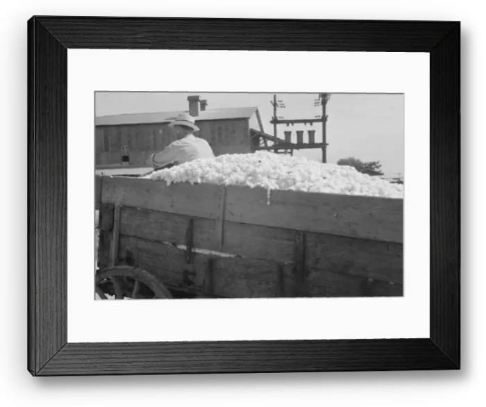 Framed Print : At the cotton gin, Cotton gin and wagons, Hale County, Alabama, 1936. Creator: Walker Evans Framed Print : At the cotton gin, Cotton gin and wagons, Hale County, Alabama, 1936. Creator: Walker Evans