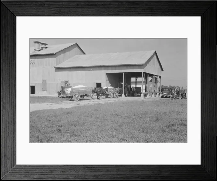 Framed Print : At the cotton gin, Cotton gin and wagons, Hale County, Alabama, 1936. Creator: Walker Evans Framed Print : At the cotton gin, Cotton gin and wagons, Hale County, Alabama, 1936. Creator: Walker Evans