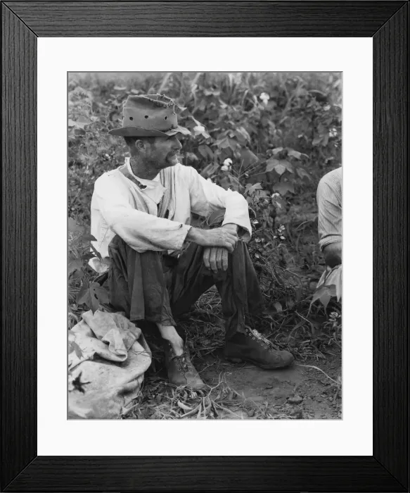 Framed Print : Bud Fields in his cotton patch, Hale County, Alabama, 1936. Creator: Walker Evans Framed Print : Bud Fields in his cotton patch, Hale County, Alabama, 1936. Creator: Walker Evans