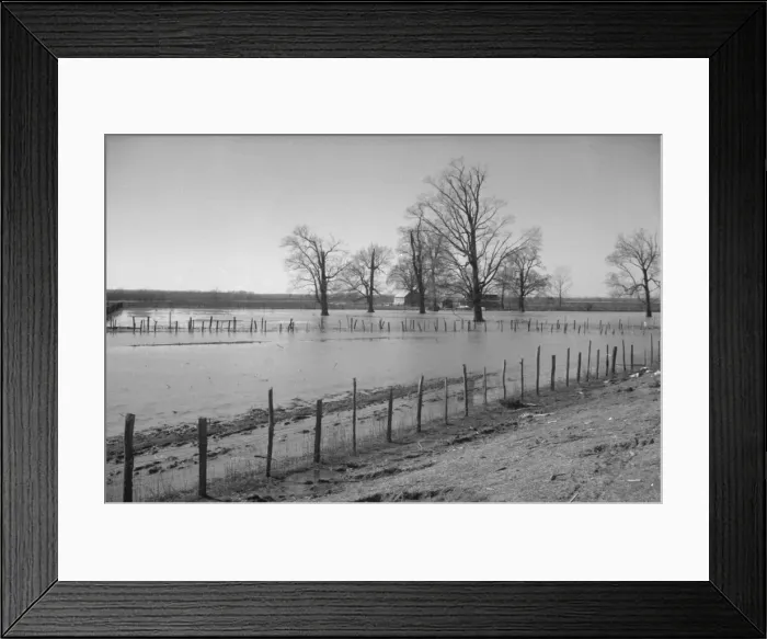 Framed Print : The Bessie Levee, along a subsid... Mississippi River, near Tiptonville, Tennessee, 1937. Creator: Walker Evans Framed Print : The Bessie Levee, along a subsid... Mississippi River, near Tiptonville, Tennessee, 1937. Creator: Walker Evans