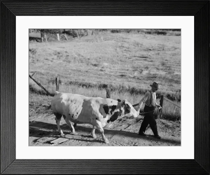 Framed Print : Untitled, between 1935 and 1942. Creator: Dorothea Lange Framed Print : Untitled, between 1935 and 1942. Creator: Dorothea Lange