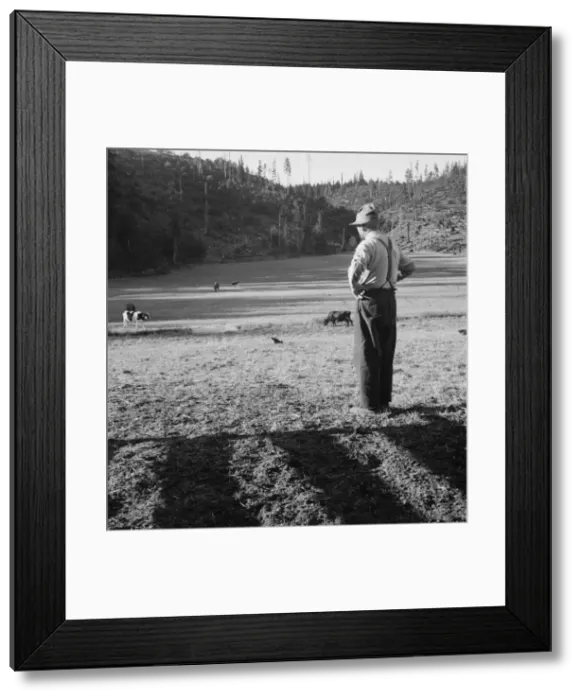 Framed Print : Untitled, between 1935 and 1942. Creator: Dorothea Lange Framed Print : Untitled, between 1935 and 1942. Creator: Dorothea Lange