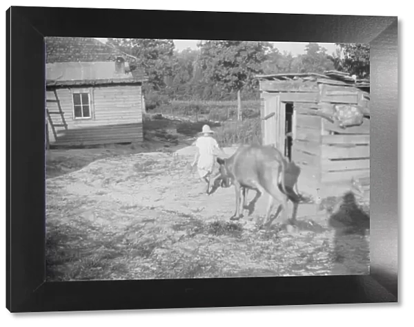 Squeakie Burroughs and friend, Hale County, Alabama, 1936. Creator: Walker Evans