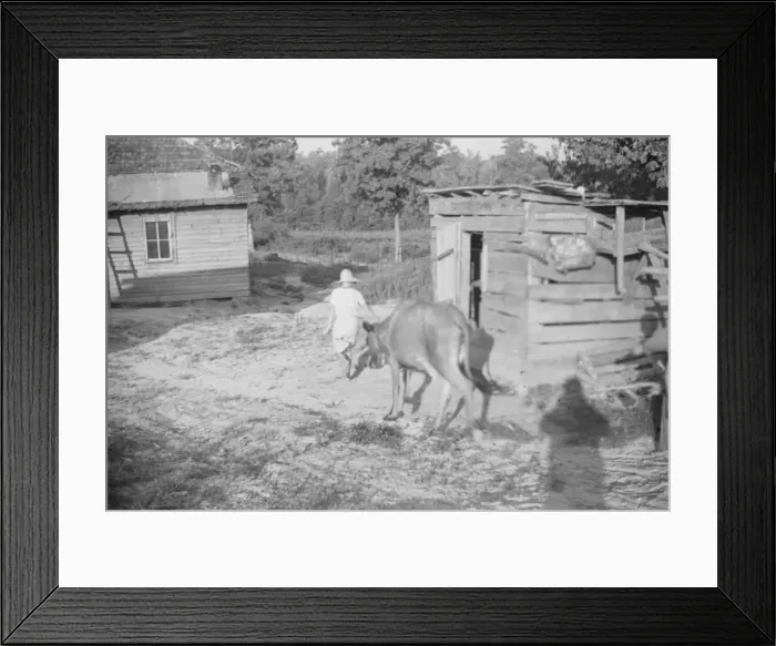 Framed Print : Squeakie Burroughs and friend, Hale County, Alabama, 1936. Creator: Walker Evans Framed Print : Squeakie Burroughs and friend, Hale County, Alabama, 1936. Creator: Walker Evans