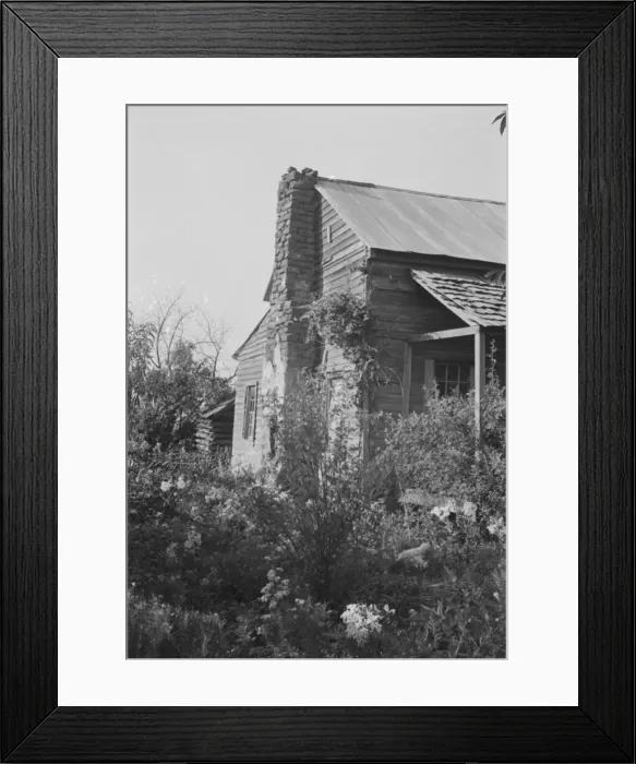 Framed Print : A sharecroppers field, Hale County, Alabama, 1936. Creator: Walker Evans Framed Print : A sharecroppers field, Hale County, Alabama, 1936. Creator: Walker Evans