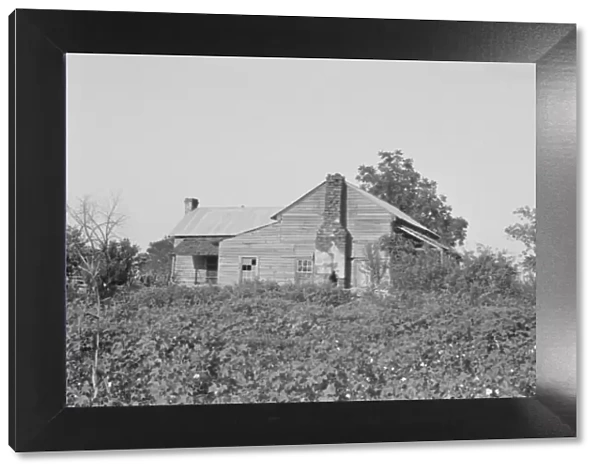 A sharecroppers buildings and fields, Hale County, Alabama, 1936. Creator: Walker Evans