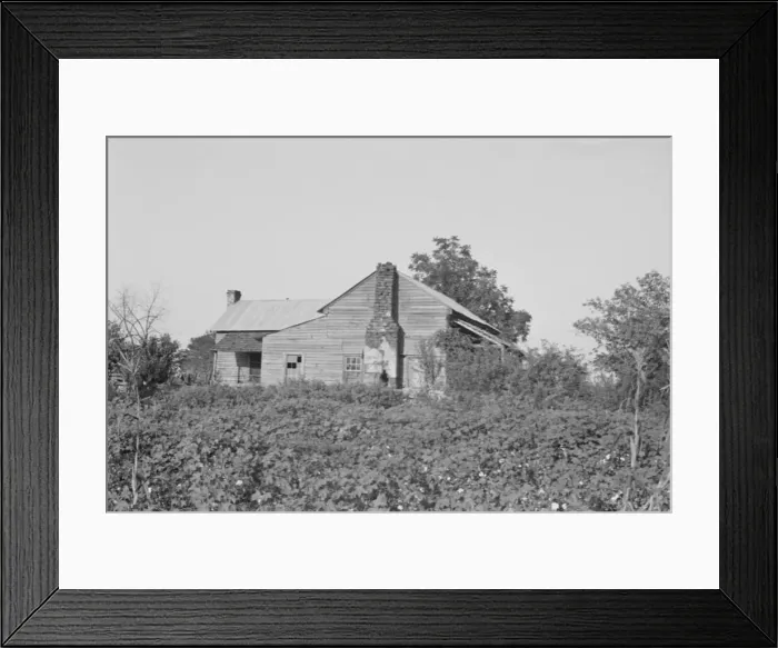 Framed Print : A sharecroppers buildings and fields, Hale County, Alabama, 1936. Creator: Walker Evans Framed Print : A sharecroppers buildings and fields, Hale County, Alabama, 1936. Creator: Walker Evans