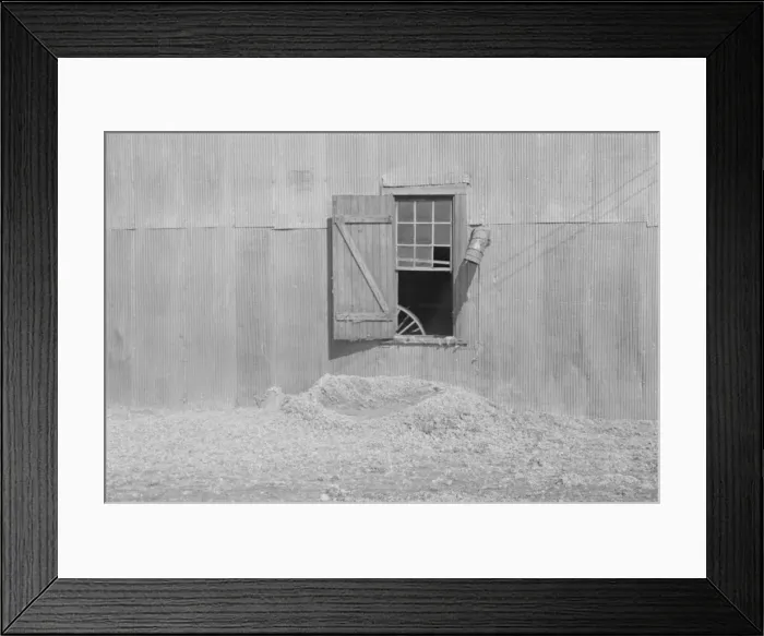 Framed Print : Tin wall of the cotton gin building, Vicinity of Moundville, Alabama, 1936. Creator: Walker Evans Framed Print : Tin wall of the cotton gin building, Vicinity of Moundville, Alabama, 1936. Creator: Walker Evans