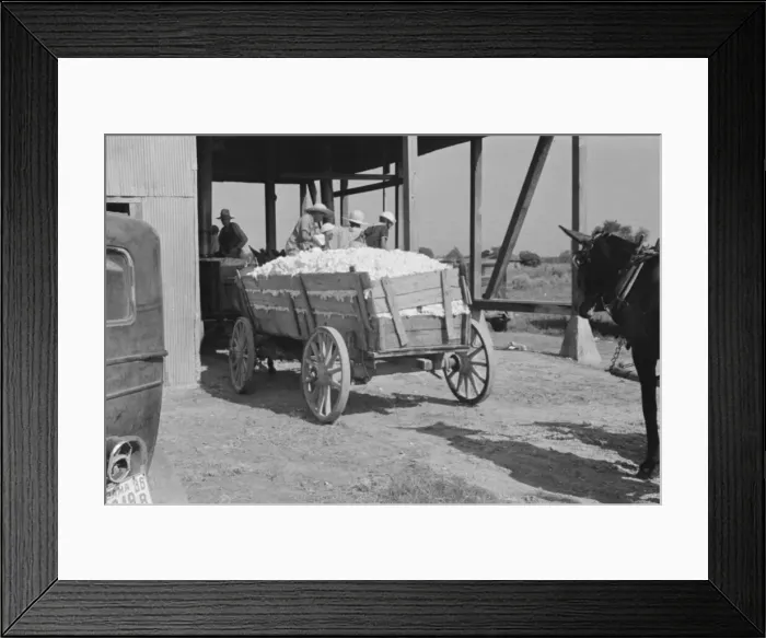 Framed Print : At the cotton gin, Cotton gin and wagons, Hale County, Alabama, 1936. Creator: Walker Evans Framed Print : At the cotton gin, Cotton gin and wagons, Hale County, Alabama, 1936. Creator: Walker Evans