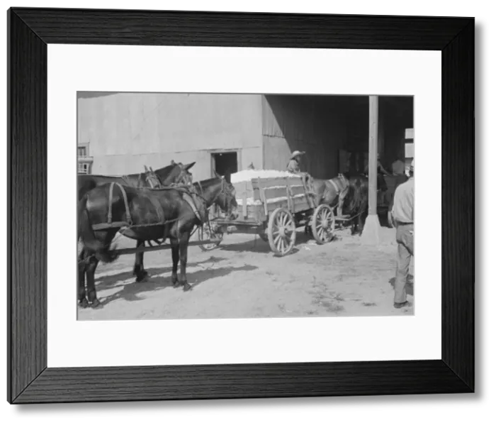 Framed Print : At the cotton gin, Cotton gin and wagons, Hale County, Alabama, 1936. Creator: Walker Evans Framed Print : At the cotton gin, Cotton gin and wagons, Hale County, Alabama, 1936. Creator: Walker Evans