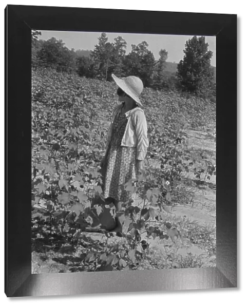 Lucille Burroughs in the cotton fields, Hale County, Alabama, 1936. Creator: Walker Evans