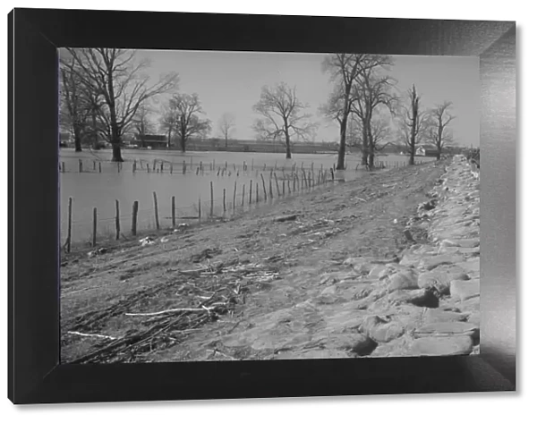 The Bessie Levee augmented with sand bags during the 1937 flood, Near Tiptonville, Tennessee, 1937. Creator: Walker Evans