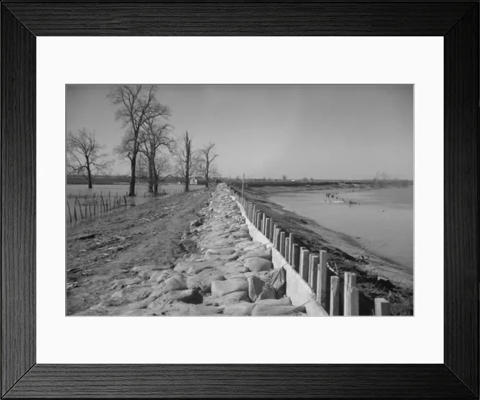 Framed Print : The Bessis Levee, along a subsidiary of the Mississippi River, near Tiptonville, Tennessee, 1937. Creator: Walker Evans Framed Print : The Bessis Levee, along a subsidiary of the Mississippi River, near Tiptonville, Tennessee, 1937. Creator: Walker Evans