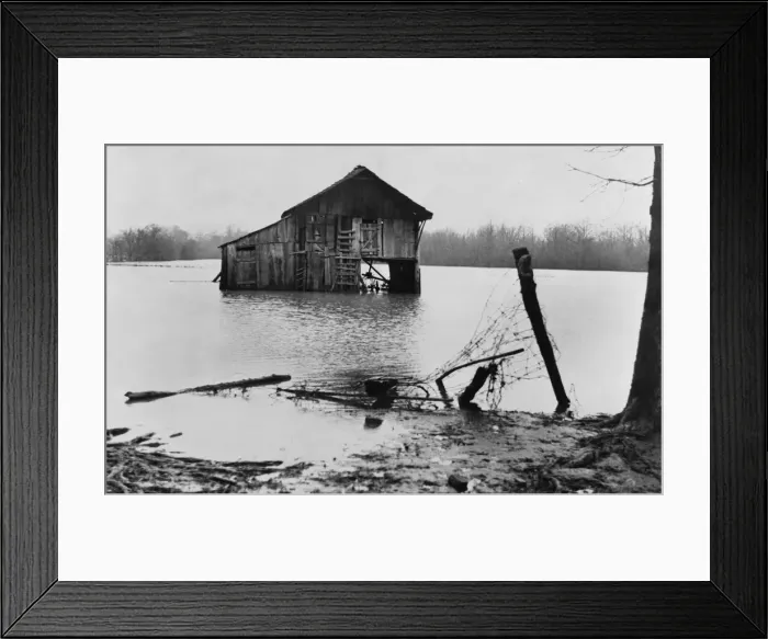 Framed Print : Farmyard covered with flood waters near Ridgeley, Tennessee, 1937. Creator: Walker Evans Framed Print : Farmyard covered with flood waters near Ridgeley, Tennessee, 1937. Creator: Walker Evans