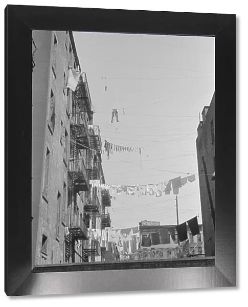 Apartment houses from the rear, 61st Street between 1st and 3rd Avenues, New York, 1938. Creator: Walker Evans