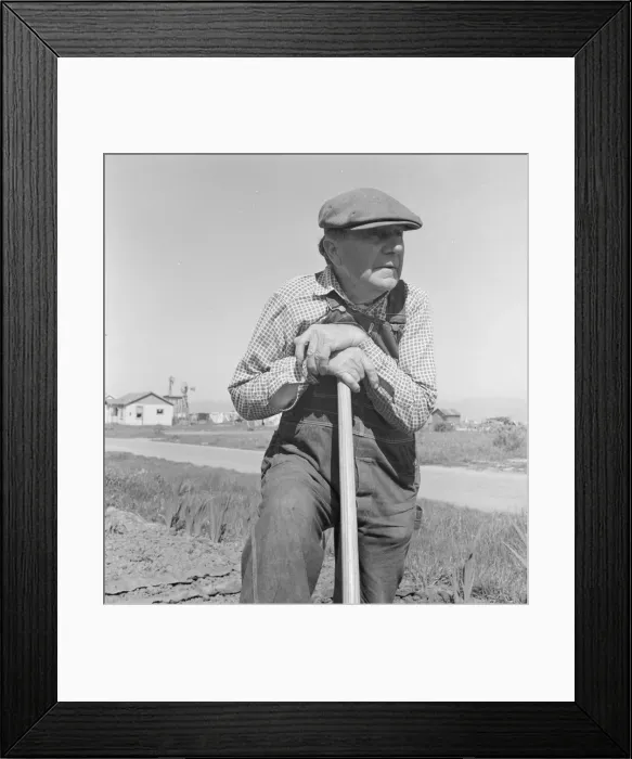 Framed Print : Farmer who has small plot... on outskirts of Salinas, CA, 1939. Creator: Dorothea Lange Framed Print : Farmer who has small plot... on outskirts of Salinas, CA, 1939. Creator: Dorothea Lange