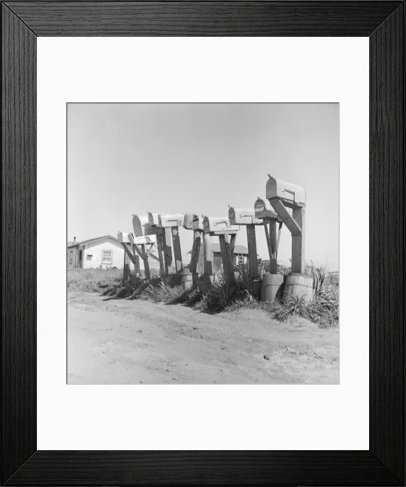Framed Print : Mail boxes of lettuce workers. Settlement on outskirts of Salinas, California, 1939. Creator: Dorothea Lange Framed Print : Mail boxes of lettuce workers. Settlement on outskirts of Salinas, California, 1939. Creator: Dorothea Lange