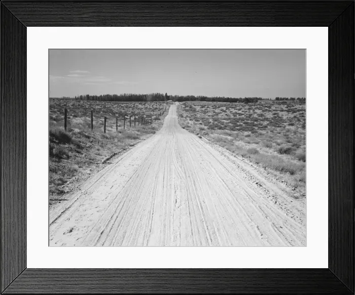 Framed Print : Road leading to small farm in northern Oregon, Irrigon, Morrow County, Oregon, 1939. Creator: Dorothea Lange Framed Print : Road leading to small farm in northern Oregon, Irrigon, Morrow County, Oregon, 1939. Creator: Dorothea Lange