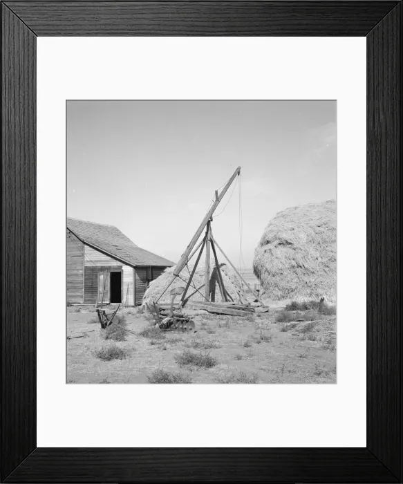 Framed Print : Type of hay derrick characteristic of Oregon... Irrigon, Morrow County, Oregon, 1939. Creator: Dorothea Lange Framed Print : Type of hay derrick characteristic of Oregon... Irrigon, Morrow County, Oregon, 1939. Creator: Dorothea Lange
