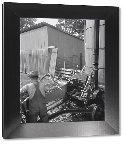 Farmers feeding corn into cooperatively... near W Street at Carlton, Yamhill County, Oregon, 1939. Creator: Dorothea Lange