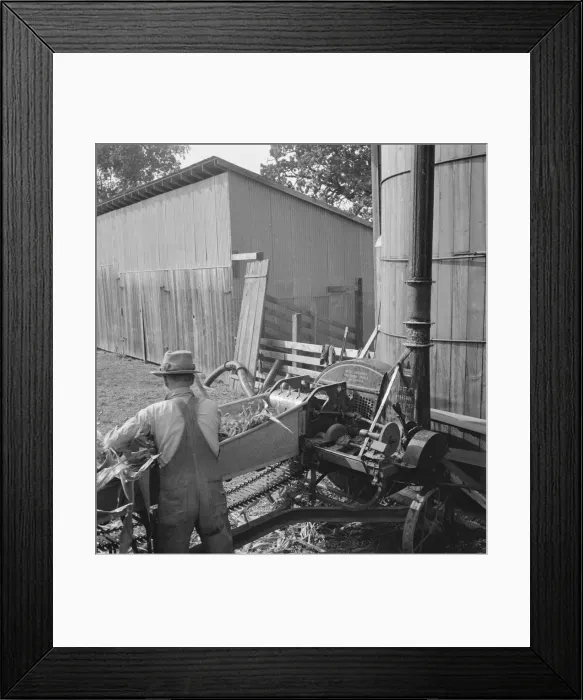 Framed Print : Farmers feeding corn into cooperatively... near W Street at Carlton, Yamhill County, Oregon, 1939. Creator: Dorothea Lange Framed Print : Farmers feeding corn into cooperatively... near W Street at Carlton, Yamhill County, Oregon, 1939. Creator: Dorothea Lange