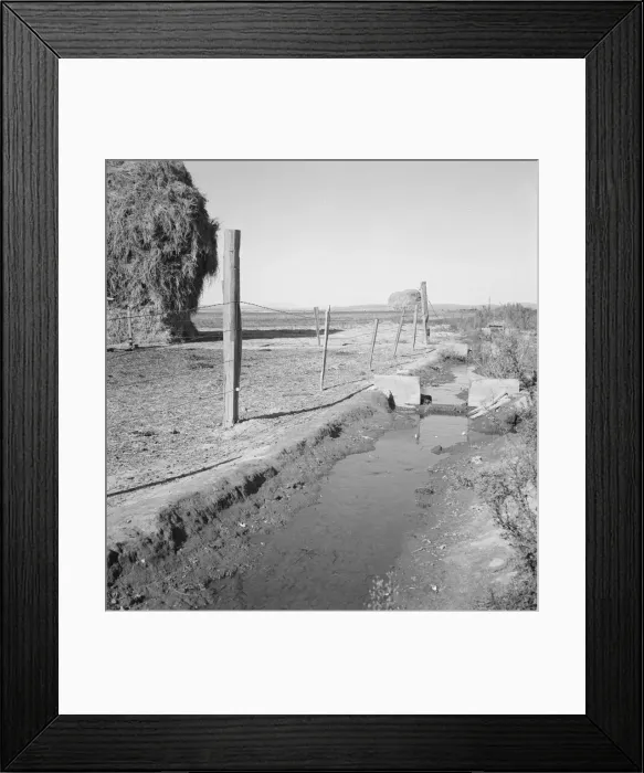 Framed Print : Emmett Smiths yard, back of the house, Dead Ox Flat, Malheur County, Oregon, 1939. Creator: Dorothea Lange Framed Print : Emmett Smiths yard, back of the house, Dead Ox Flat, Malheur County, Oregon, 1939. Creator: Dorothea Lange