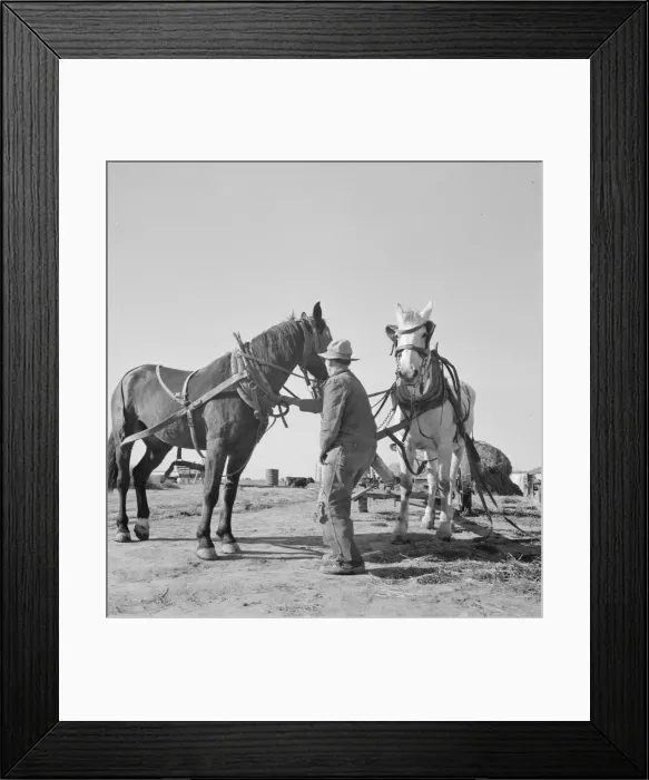 Framed Print : Mr. Browning prepares to go into the field to mow his hay, Dead Ox Flat, Oregon, 1939. Creator: Dorothea Lange Framed Print : Mr. Browning prepares to go into the field to mow his hay, Dead Ox Flat, Oregon, 1939. Creator: Dorothea Lange