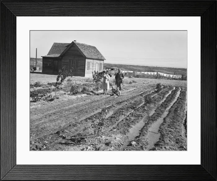 Framed Print : The Schroeder family, Dead Ox Flat, Malheur County, Oregon, 1939. Creator: Dorothea Lange Framed Print : The Schroeder family, Dead Ox Flat, Malheur County, Oregon, 1939. Creator: Dorothea Lange