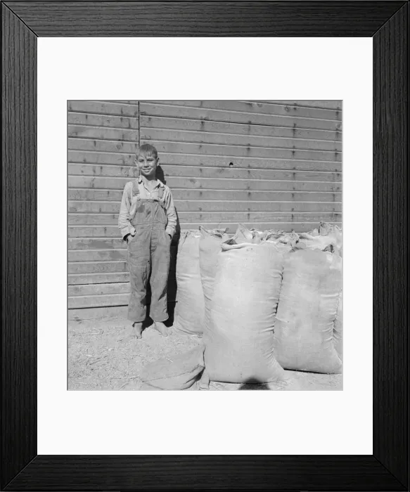 Framed Print : Possibly: One of the younger Cleaver boys on new farm in Malheur County, Oregon, 1939. Creator: Dorothea Lange Framed Print : Possibly: One of the younger Cleaver boys on new farm in Malheur County, Oregon, 1939. Creator: Dorothea Lange