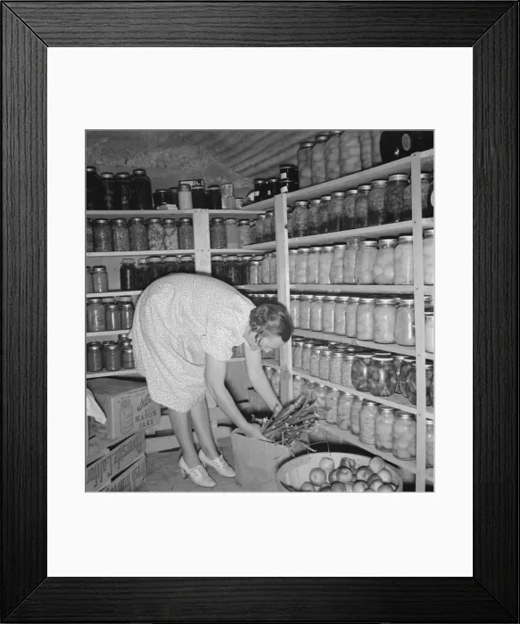 Framed Print : Mrs. Botner arranging her storage cellar, Nyssa Heights, Malheur County, Oregon, 1939. Creator: Dorothea Lange Framed Print : Mrs. Botner arranging her storage cellar, Nyssa Heights, Malheur County, Oregon, 1939. Creator: Dorothea Lange