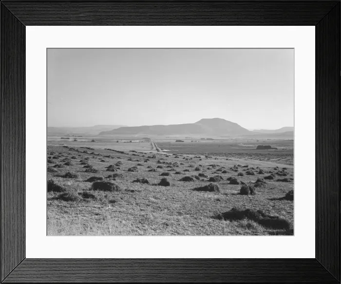 Framed Print : Hay and clover, pasture land, corn land, grain land, Sunset Valley, Malheur County, Oregon, 1939. Creator: Dorothea Lange Framed Print : Hay and clover, pasture land, corn land, grain land, Sunset Valley, Malheur County, Oregon, 1939. Creator: Dorothea Lange