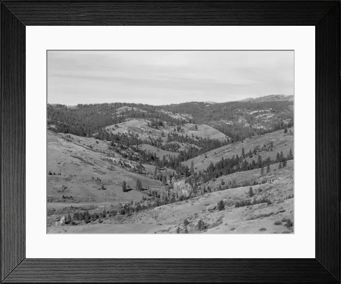 Framed Print : Upper end of Squaw Creek Valley... Ola self-help sawmill co-op, Gem County, Idaho, 1939. Creator: Dorothea Lange Framed Print : Upper end of Squaw Creek Valley... Ola self-help sawmill co-op, Gem County, Idaho, 1939. Creator: Dorothea Lange