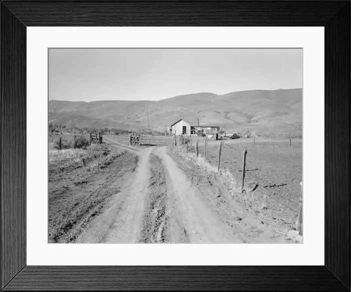 Framed Print : A new house for descendant of old Idaho... Ola self-help sawmill co-op, Gem County, Idaho, 1939. Creator: Dorothea Lange Framed Print : A new house for descendant of old Idaho... Ola self-help sawmill co-op, Gem County, Idaho, 1939. Creator: Dorothea Lange