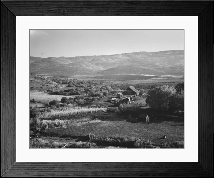 Framed Print : Squaw Valley farm, Gem County, Idaho, 1939. Creator: Dorothea Lange