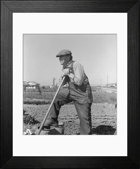 Framed Print : Farmer who has small plot... on outskirts of Salinas, CA, 1939. Creator: Dorothea Lange Framed Print : Farmer who has small plot... on outskirts of Salinas, CA, 1939. Creator: Dorothea Lange