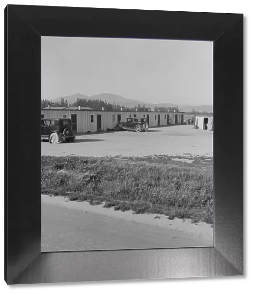 Arkansawyers auto camp... with Arkansas migrants, Greenfield, Salinas Valley, CA, 1939. Creator: Dorothea Lange