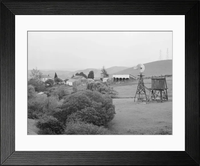 Framed Print : Small farm in the coast range foothills, Alameda County, California, 1939. Creator: Dorothea Lange Framed Print : Small farm in the coast range foothills, Alameda County, California, 1939. Creator: Dorothea Lange