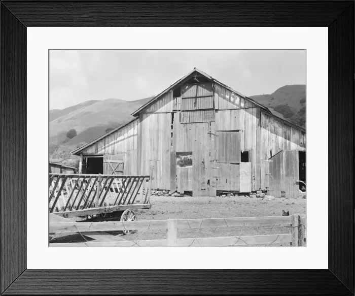 Framed Print : Farmyard of small Italian farmer, Santa Clara County, California, 1939. Creator: Dorothea Lange Framed Print : Farmyard of small Italian farmer, Santa Clara County, California, 1939. Creator: Dorothea Lange