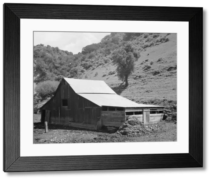 Framed Print : Barn in a valley back of Mission San Jose, Santa Clara County, California, 1939. Creator: Dorothea Lange Framed Print : Barn in a valley back of Mission San Jose, Santa Clara County, California, 1939. Creator: Dorothea Lange