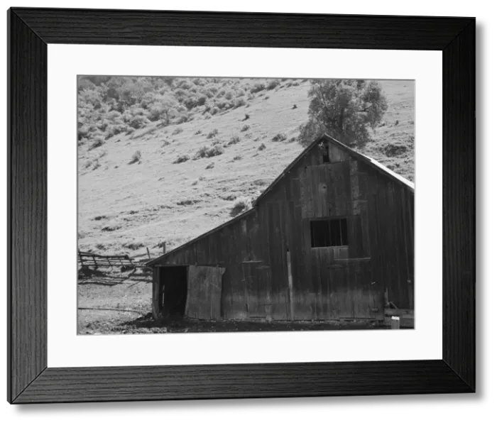 Framed Print : Barn in a valley back of Mission San Jose, Santa Clara County, California, 1939. Creator: Dorothea Lange Framed Print : Barn in a valley back of Mission San Jose, Santa Clara County, California, 1939. Creator: Dorothea Lange