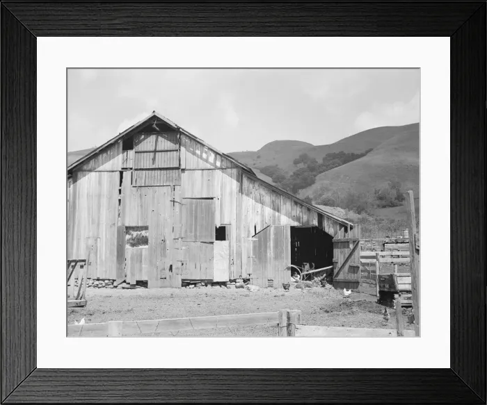 Framed Print : Farmyard of small Italian farmer, Santa Clara County, California, 1939. Creator: Dorothea Lange Framed Print : Farmyard of small Italian farmer, Santa Clara County, California, 1939. Creator: Dorothea Lange