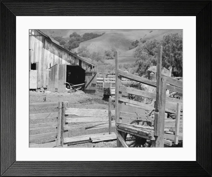 Framed Print : Farmyard of small Italian farmer, Santa Clara County, California, 1939. Creator: Dorothea Lange Framed Print : Farmyard of small Italian farmer, Santa Clara County, California, 1939. Creator: Dorothea Lange