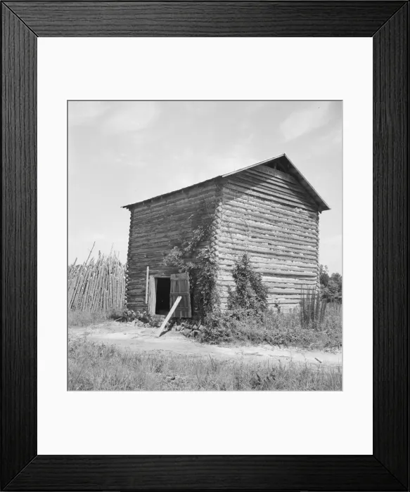 Framed Print : The old tobacco barn (new one under construction. ), Chatham County, North Carolina, 1939. Creator: Dorothea Lange Framed Print : The old tobacco barn (new one under construction. ), Chatham County, North Carolina, 1939. Creator: Dorothea Lange