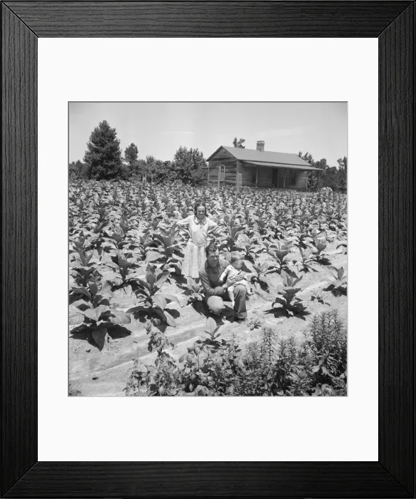 Framed Print : Sharecropper with wife and child in their... near Chapel Hill, North Carolina, 1939. Creator: Dorothea Lange Framed Print : Sharecropper with wife and child in their... near Chapel Hill, North Carolina, 1939. Creator: Dorothea Lange