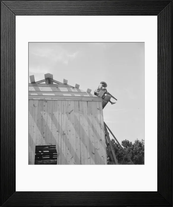 Framed Print : Building barn for tobacco, near Chapel Hill, North Carolina, 1939. Creator: Dorothea Lange Framed Print : Building barn for tobacco, near Chapel Hill, North Carolina, 1939. Creator: Dorothea Lange