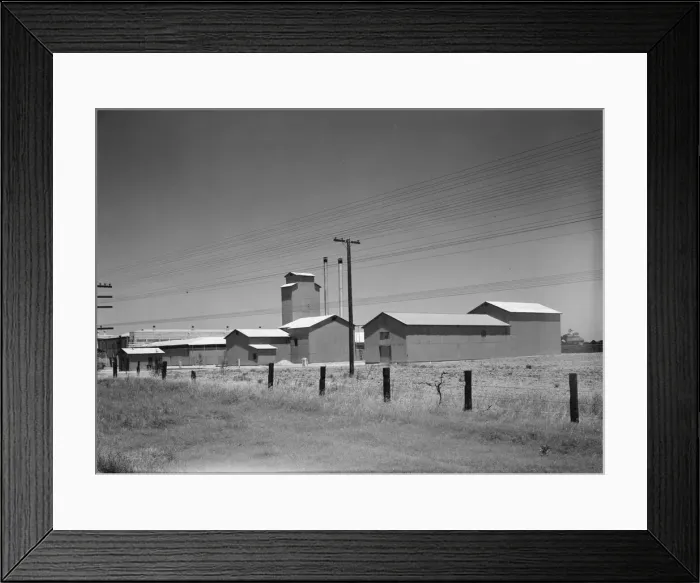 Framed Print : Winery belonging to Muscat Cooperative, on US 99. between Tulare and Fresno, California, 1939. Creator: Dorothea Lange Framed Print : Winery belonging to Muscat Cooperative, on US 99. between Tulare and Fresno, California, 1939. Creator: Dorothea Lange